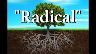 Being Radical Is a Good Thing