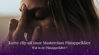 Wat is de Pijnappelklier? De Sleutel tot Bewustzijn en Welzijn