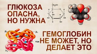 Невероятная биология человека