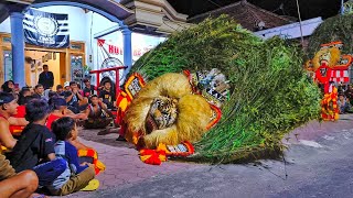 🦚 LUAR BIASA..!! ATRAKSI SABETAN GULUNG PEMBARONG MUDA COKOT DADAK JUMBO KULON KALI BIKIN MERINDING