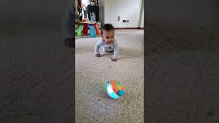 Baby hears Frankie Beats Spin and Crawl Tumble Ball playing....