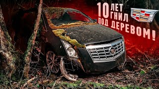 ОЖИВЛЕНИЕ Cadillac. 10 лет гнил под деревом