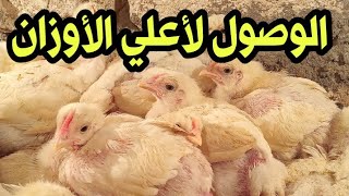 الوصول إلى أعلي الأوزان وضمان تحويل عالي وزيادة رهيبة للفراخ البيضاء و....