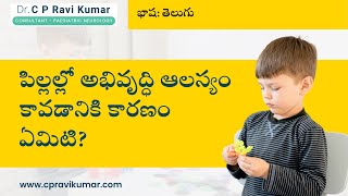 పిల్లలలో అభివృద్ధి వైకల్యాలు మరియు ఆలస్యం: మీరు తెలుసుకోవలసినది