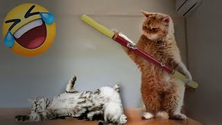 So Funny! Funniest Cats and Dogs 2024 🤣 Best Funny Animals 2024 😂😆