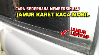 Membersihkan Jamur Karet Kaca Mobil | Jamur Karet Pelipit Kaca Mobil