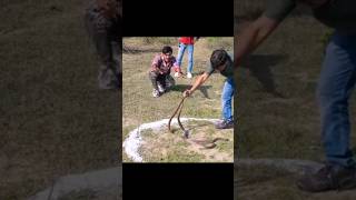 Snake V/S Salt #shorts #youtube #youtubeshorts #facts #trending #viral #snake