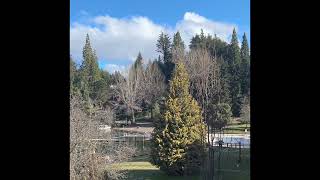 Manzano Resort, Villa La Angostura, Neuquén, Patagonia, Argentina