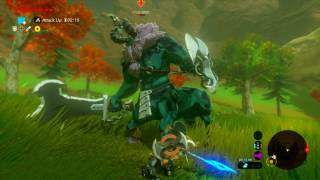 Epic fight In The Legend of Zelda Breath of The Wild