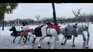 The robot dog performs the task test in the cold and snow