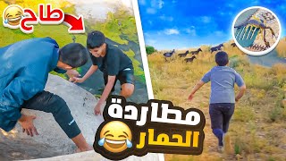 مطاردة الحمير في الديرة 😂 🦓 | بتال بغا يجيب العيد !!🙂🦂