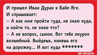 Самые глупые сказочные анекдоты про Маугли, Красную Шапочку, Чебурашку, Золотую Рыбку