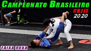 Jiu Jitsu - Faixa Roxa - Feminino - Campeonato Brasileiro - CBJJE 2020