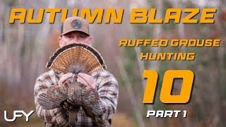 Autumn Blaze Ruffed Grouse Hunting 10 - Part 1 #ruffedgrouse #woodcock