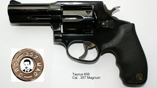 Präsentation Revolver Taurus Mod:  606 - .357 magnum Review