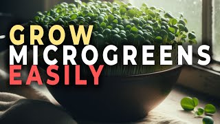 MICROGREENS PART 2: Growing microgreens made easy - here's how to do it in just a few steps