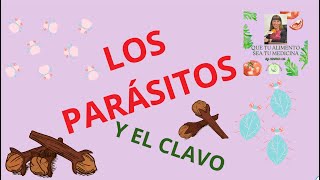 23. 🪳LOS PARÁSITOS Y EL CLAVO DE OLOR