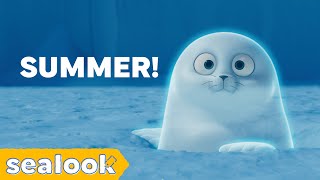 How the Cool Seals Deal with Summer🧊ㅣSEALOOKㅣEpisodes Compilation