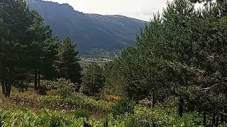 Final de la primavera con un verano verde en la montaña y bosque accidentado