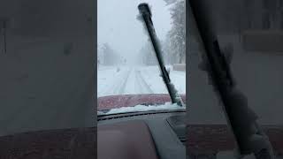 Happy Mother’s Day! | May 2024 Snow Storm | Woodland Park, CO #shorts