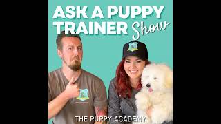 Does Your Puppy’s Behavior Seem “Aggressive”? | Ep 158