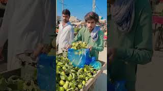 pakistan economy, pakistan economic crisis, pakistan crisis, Pakistan . #viral #cat #citytour #video