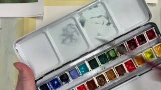 How to paint a white butterfly in watercolor