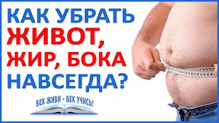 КАК убрать ЖИР, ЖИВОТ, БОКА - НАВСЕГДА! Вам ЭТО нужно знать! Самое важное о похудении!