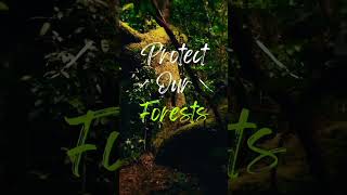 Protect over forest