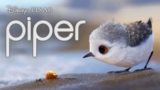 Piper Short Film by Disney Pixar