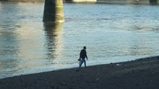 2018 11 13 19 05 London Southbank Eco Warrior Picking up Plastic Bags River Thames  Sunrise Very Adm