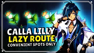 Calla Lily Farming Route [LAZY ROUTE] - [SPED UP X2]