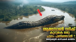 Journey to Amazon Bridge | ആമസോൺ നദിക്ക് കുറുകെ പാലം പണിയാത്തത് എന്ത്കൊണ്ട് | Secrets of Amazon