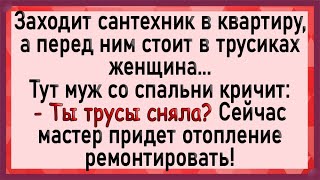 Жена забыла снять трусы... Анекдоты! Юмор!