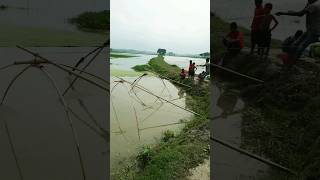 নতুন পানির মাছ ধরার ভিডিও #shorts #viral #fish