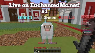 Chilling and Leveling up on EnchantedMc Dungeons! Ep2