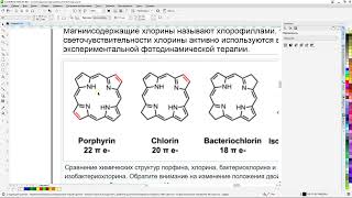 Онкологика - Предварительные результаты (16.06.2024)