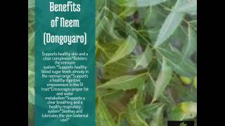 Benefits of Neem