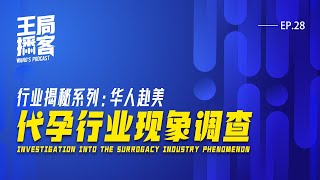 「赴美代孕生子现象调查」行业揭秘系列｜王局播客 20240803