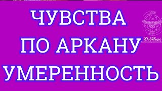 Что чувствует мужчина по Старшему аркану Таро Умеренность? Обучение таро