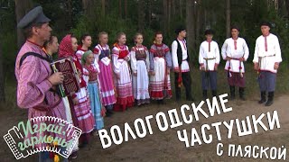 Вологодские частушки с пляской | Ансамбль «БОРКУНЦЫ» (Вологодская область) | @igraygarmon