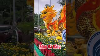 Rồng đẹp nhất Việt Nam đây rồi #rongdanang #rong2024 #danang #haireview #nhaovadulich