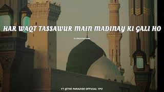 Har Waqt Tassawur Main Madinay Ki Gali Ho❤️ Slowed+Reverb ll Full Naat by Muhammad Shahbaz Qadri