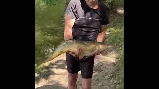 Донная ловля сазана. Эпизод 1 часть 2/3. Fishing a trophy carp on a bottom rod. Episode 1 part 2/3