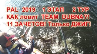 PAL 2019  КАК, ГДЕ и НА ЧТО ловит TEAM DUBNA! 11 ЗАЧЕТОВ!!! СУДАК и ЩУКА НА ДЖИГ  Сызрань, день 2