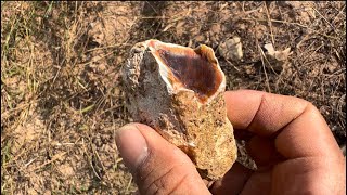 Find precious stone near mountain ,fin agates agatized fossils