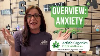 Overview: Anxiety Products