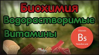 Биохимия. Лекция 16. Водорастворимые витамины. Витамин B5.