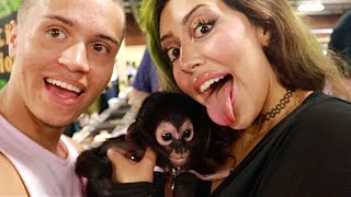 Buying My Girlfriend The World’s Cutest Monkey