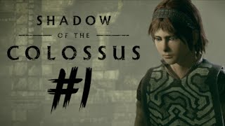 I Have NO CLUE What is Going ON? (SHADOW OF THE COLOSSUS #1)